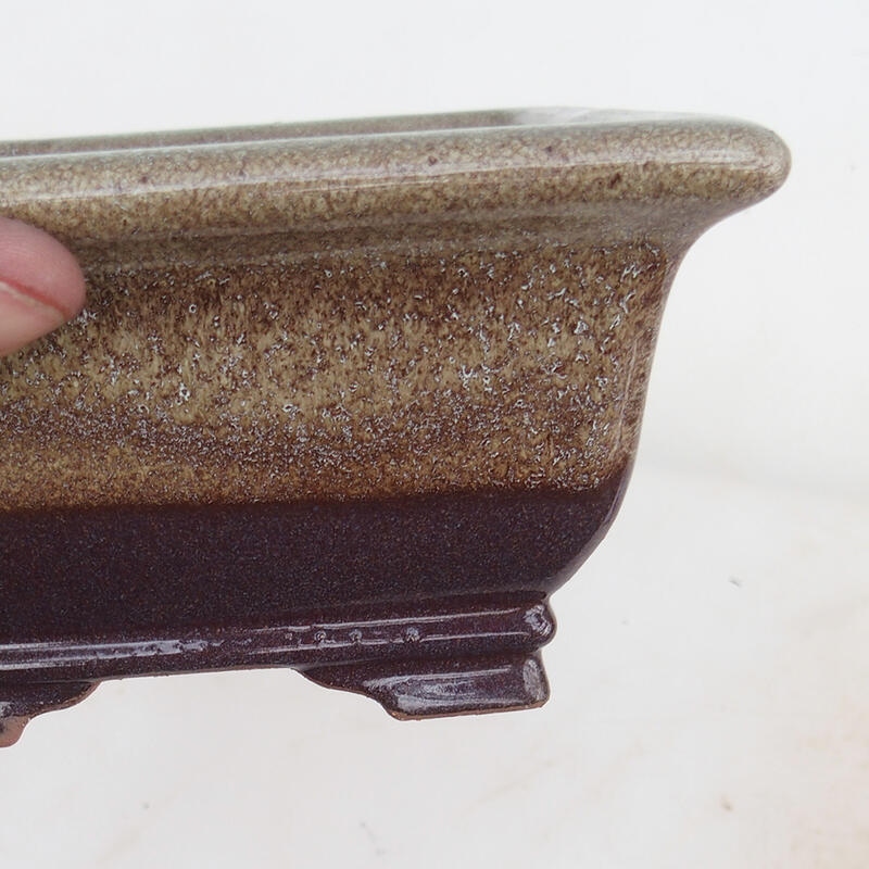 Bonsaischaal 15,5 x 15,8 x 8 cm, kleur bordeaux bruin