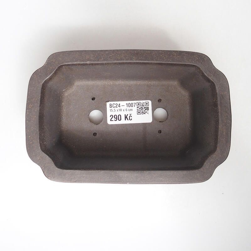 Bonsaischaal 15 x 10 x 6 cm, okerbruin