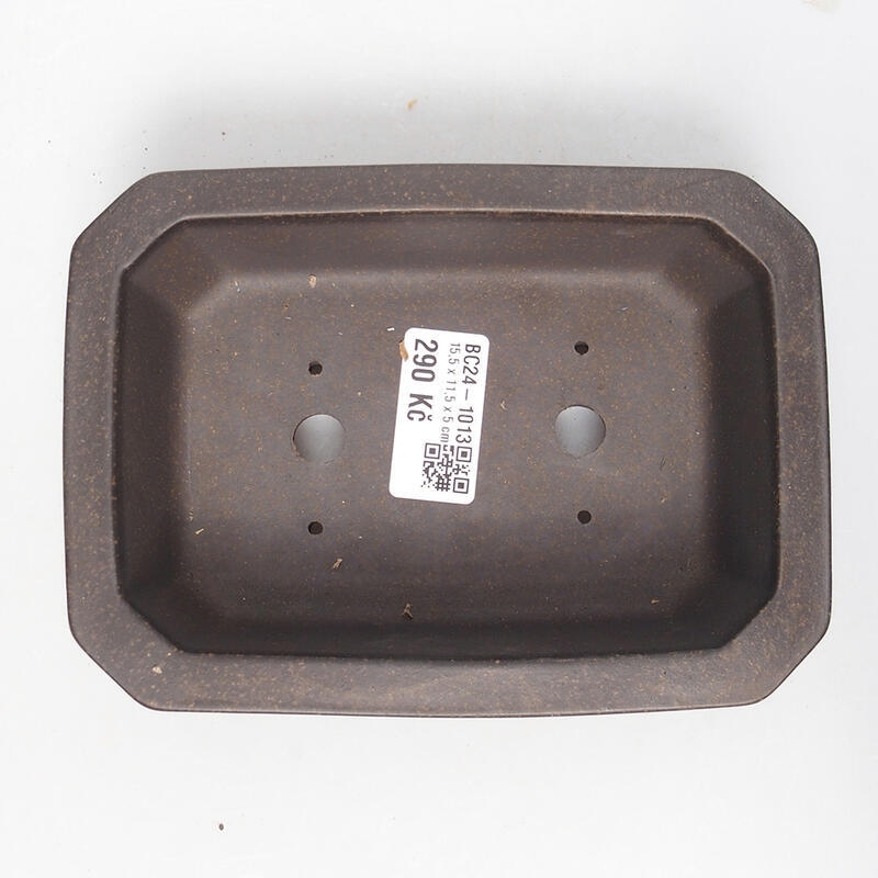 Bonsaischaal 15 x 11 x 5 cm, kleur okerbruin