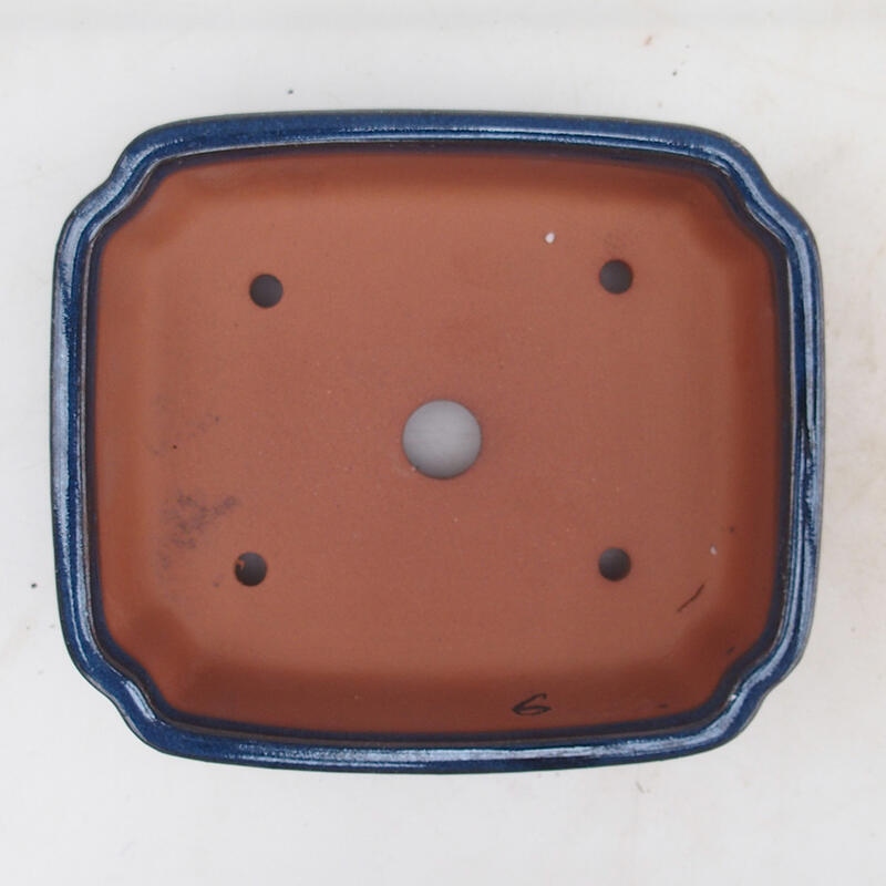 Bonsaischaal 15 x 13 x 5 cm, kleur blauw