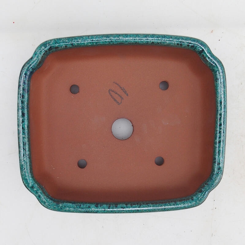 Bonsaischaal 15 x 13 x 5 cm, groen