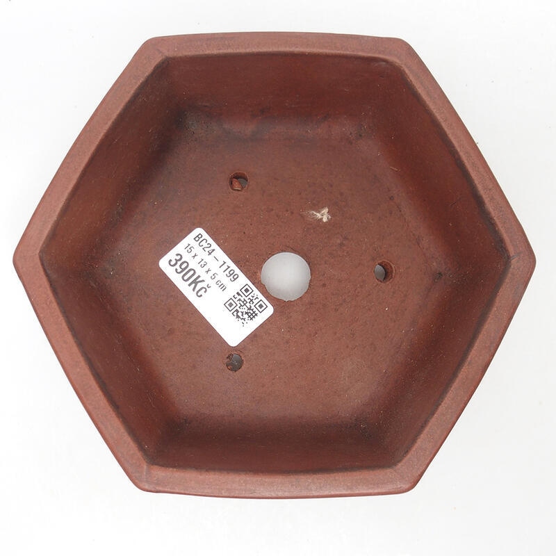 Bonsaischaal 15 x 14 x 5,5 cm, bruin