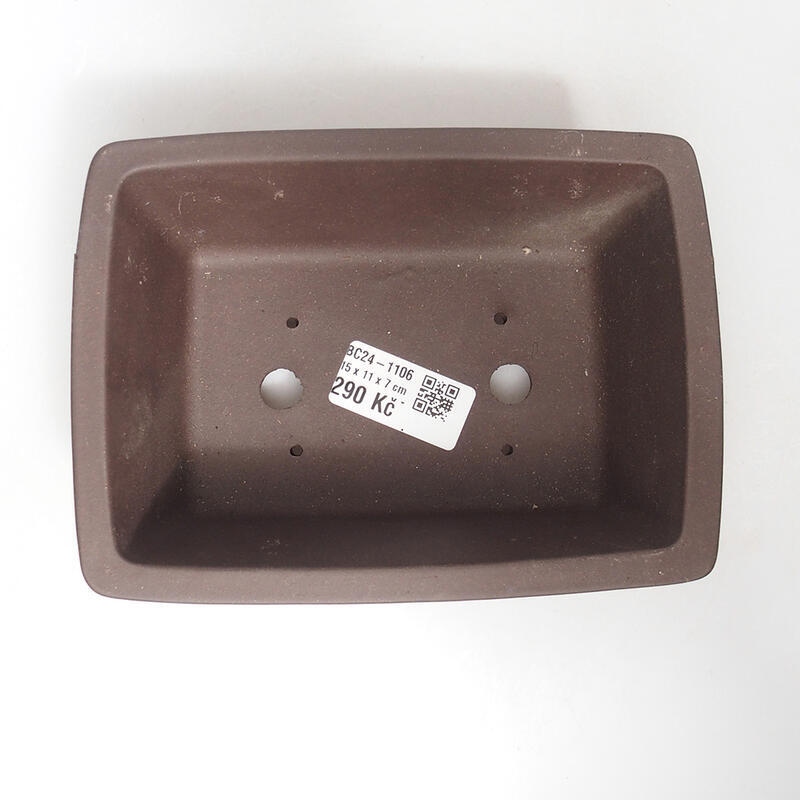 Bonsaischaal 16 x 12 x 6,5 cm, bruin