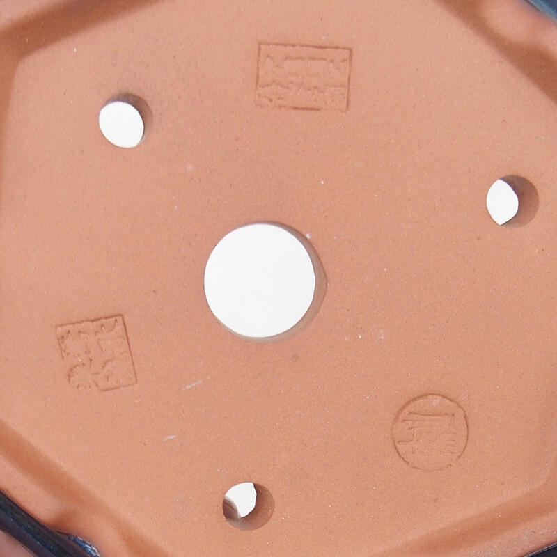 Bonsaischaal 16 x 14 x 5 cm, kleur blauw