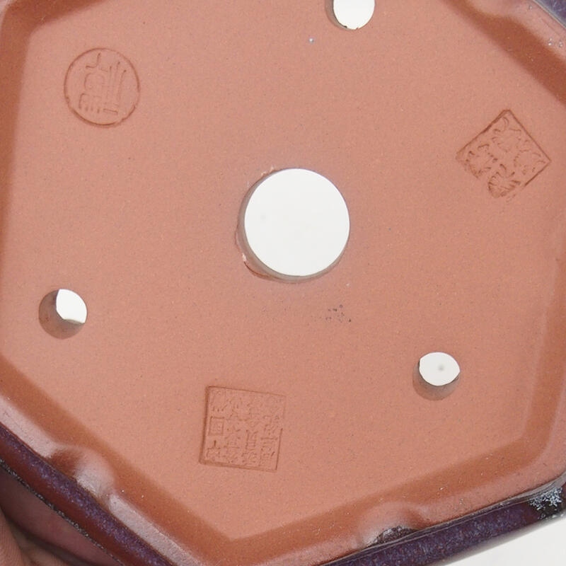 Bonsaischaal 16 x 14 x 5 cm, bordeauxrood