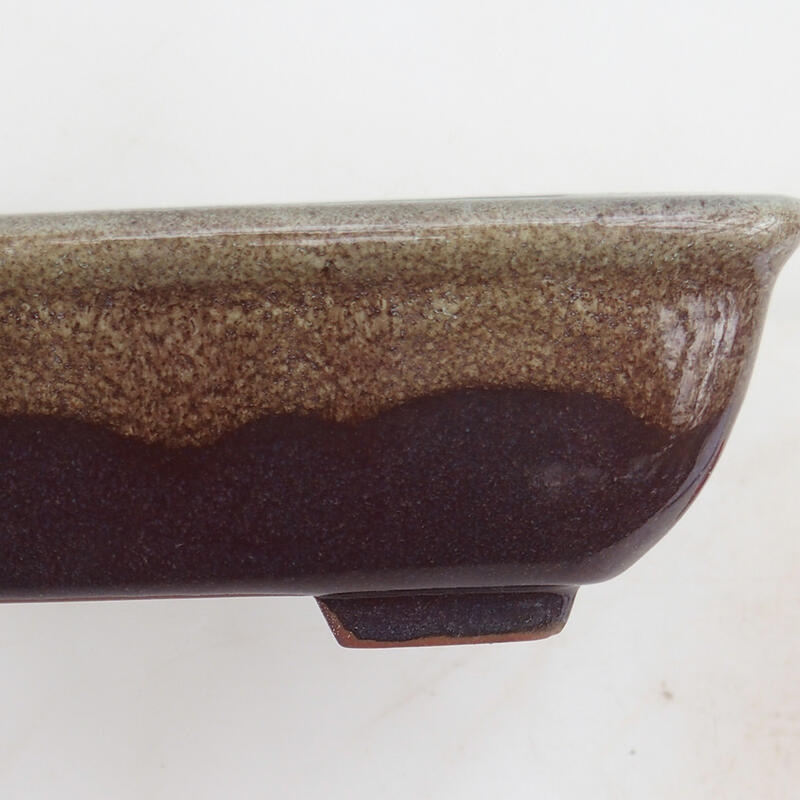 Bonsaischaal 17,5 x 13 x 5,5 cm, kleur bordeauxrood