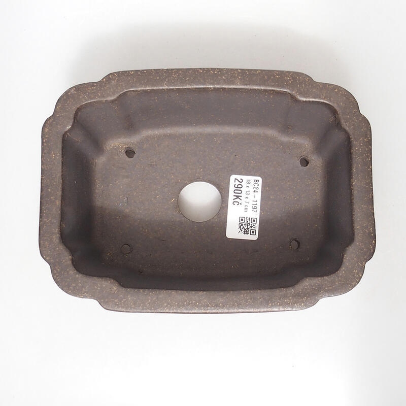 Bonsaischaal 18 x 13,5 x 7 cm, kleur okerbruin