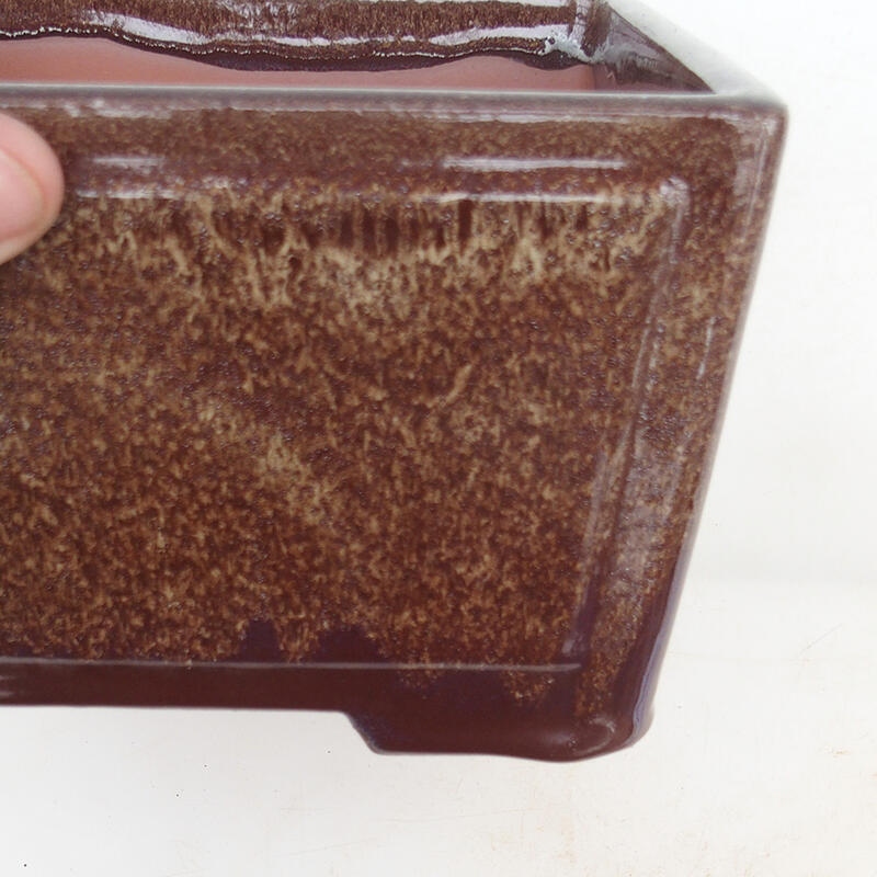 Bonsaischaal 19,5 x 19,5 x 10 cm, kleur bruin