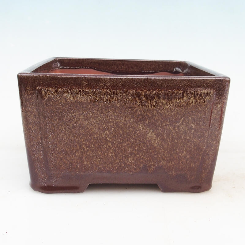 Bonsaischaal 19,5 x 19,5 x 10 cm, kleur bruin