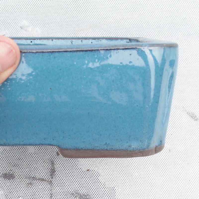 Bonsaischaal 20 x 14 x 6,5 cm, kleur blauw