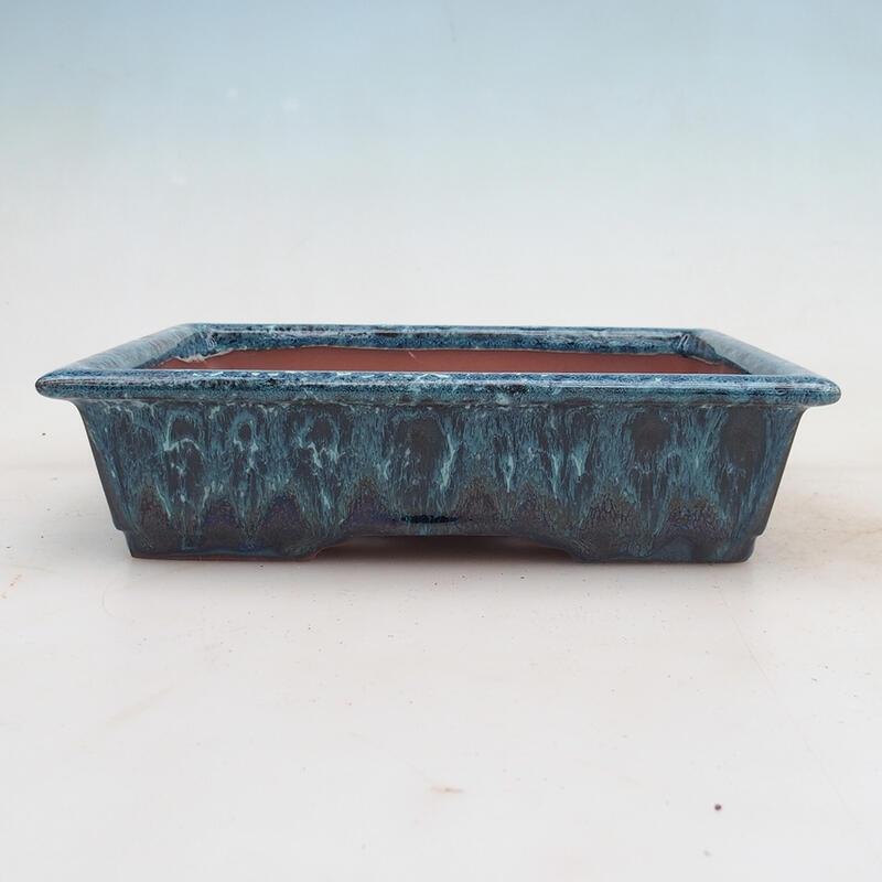 Bonsaischaal 21,5 x 16 x 5 cm, kleur blauw-wit