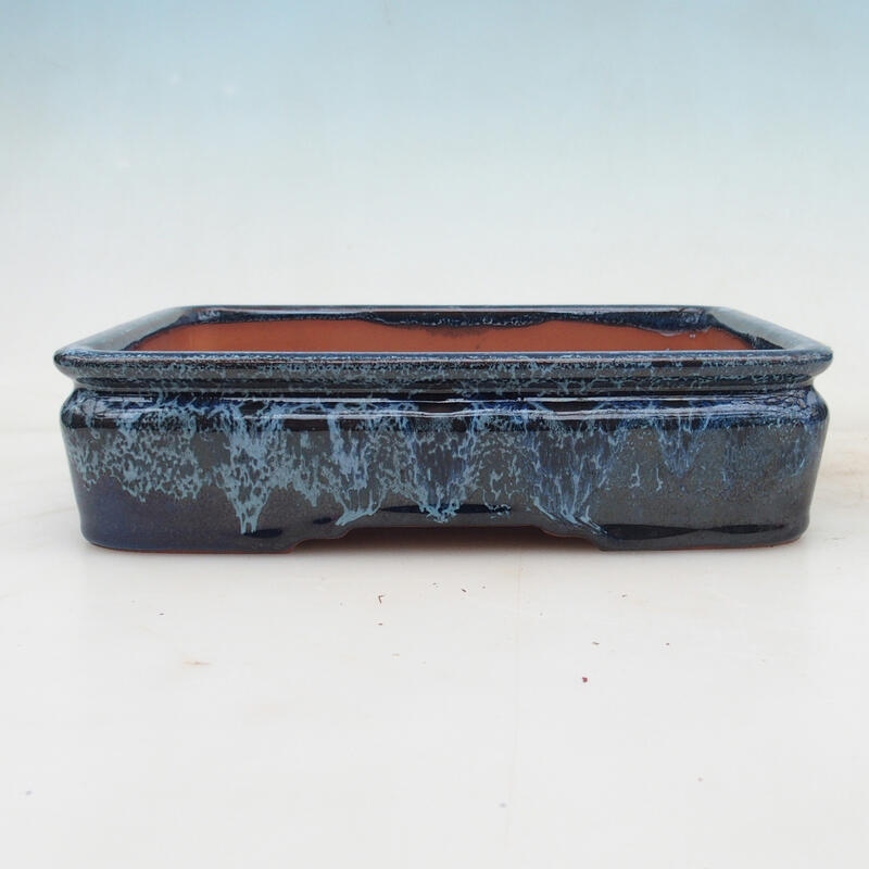 Bonsaischaal 21,5 x 17 x 5,5 cm, kleur blauw-wit