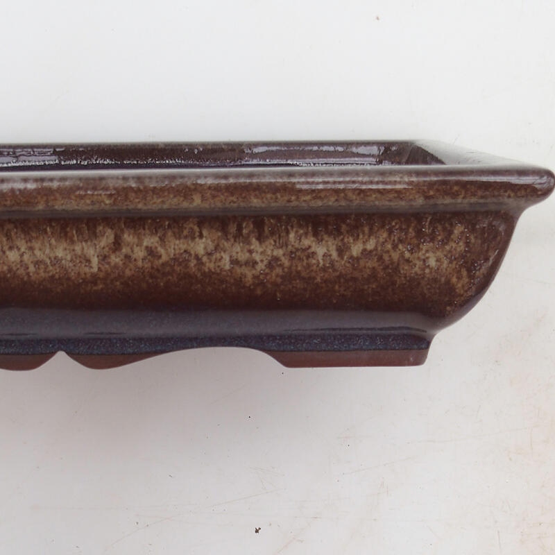 Bonsaischaal 21 x 16,5 x 4,5 cm, bruin