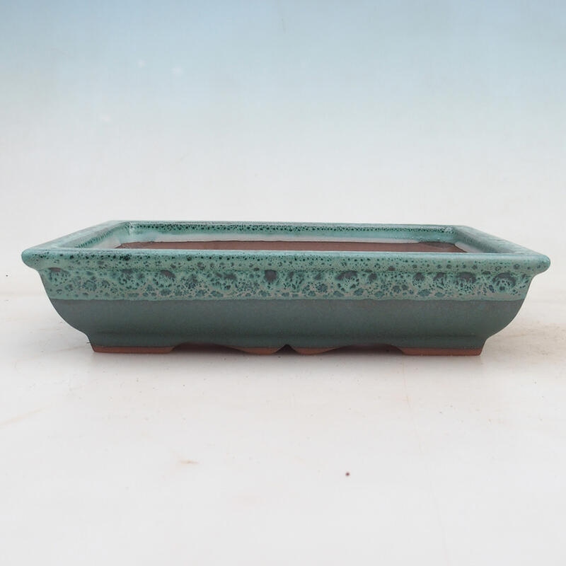 Bonsaischaal 21 x 16,5 x 4,5 cm, groen