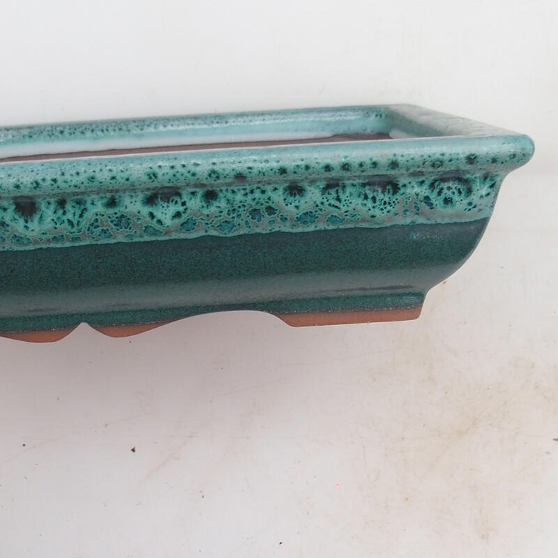 Bonsaischaal 21 x 16,5 x 4,5 cm, groen