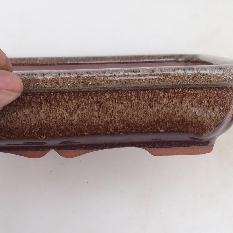 Bonsaischaal 21 x 16 x 4,5 cm, bruin