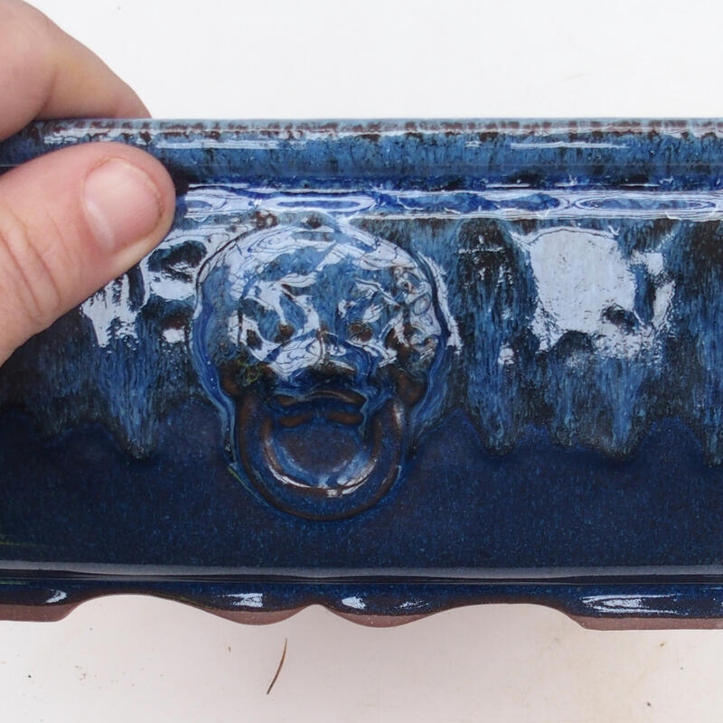 Bonsaischaal 21 x 21 x 9 cm, kleur blauw