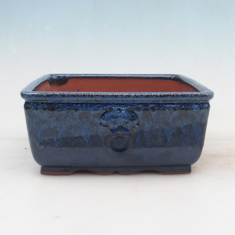 Bonsaischaal 21 x 21 x 9 cm, kleur blauw