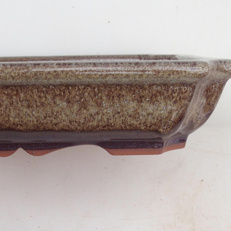 Bonsaischaal 22 x 16,5 x 4 cm, bruin