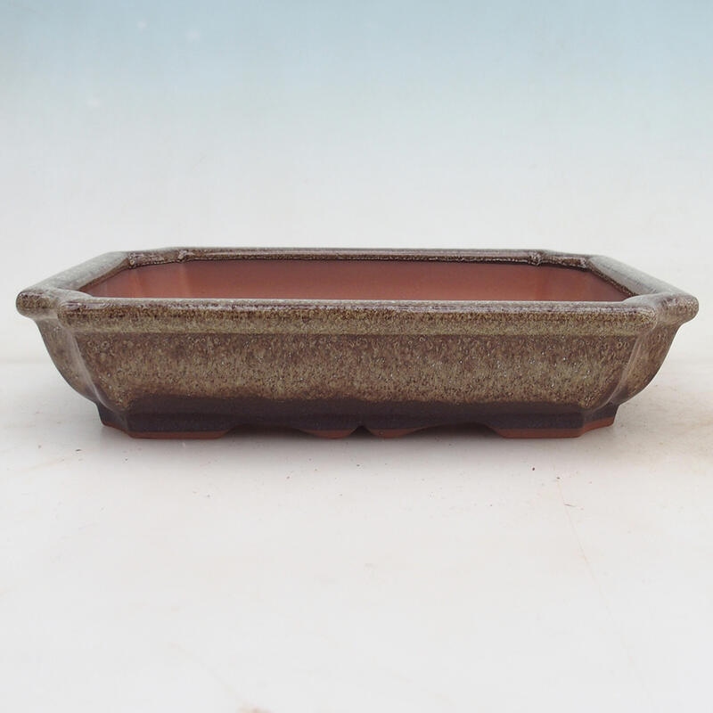 Bonsaischaal 22 x 16,5 x 4 cm, bruin