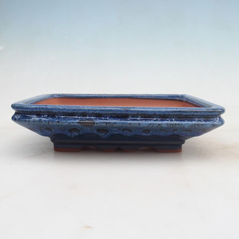 Bonsaischaal 22 x 17 x 5,5 cm, kleur blauw