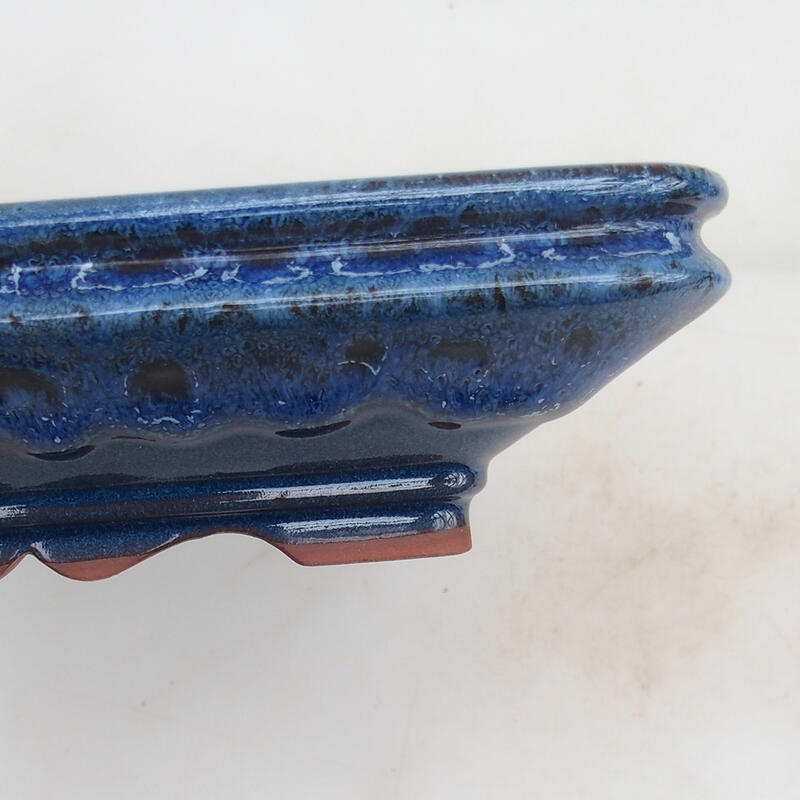 Bonsaischaal 22 x 17 x 5,5 cm, kleur blauw