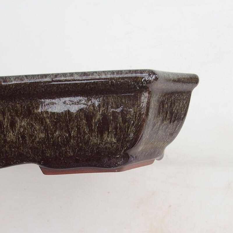 Bonsaischaal 23 x 17,5 x 4,5 cm, bruin