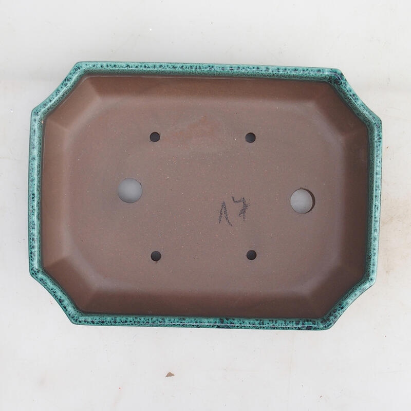 Bonsaischaal 23 x 17,5 x 4,5 cm, groen