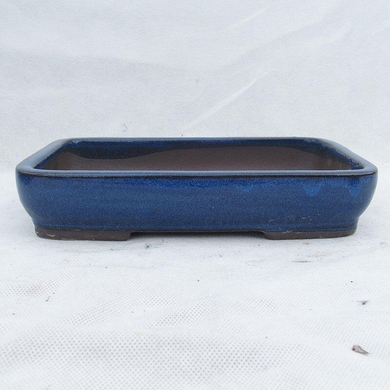 Bonsaischaal 25 x 17 x 5 cm, kleur blauw