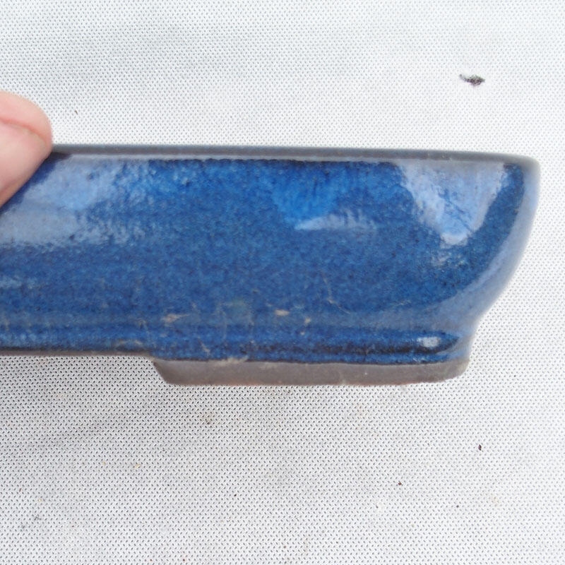 Bonsaischaal 25 x 17 x 5 cm, kleur blauw