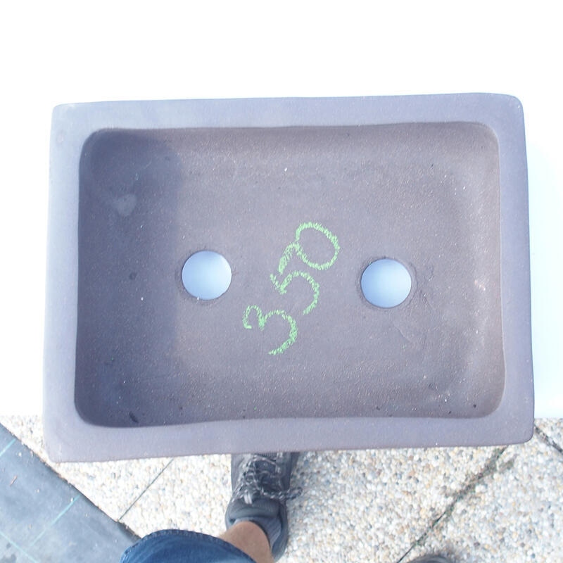 Bonsaischaal 25 x 19 x 7 cm