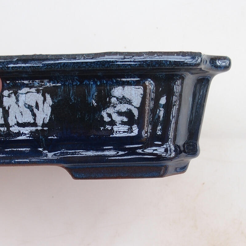 Bonsaischaal 25 x 20 x 6 cm, kleur blauw