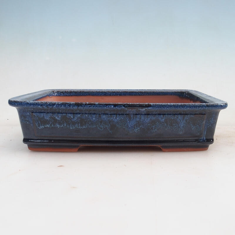 Bonsaischaal 25 x 20 x 6 cm, kleur blauw