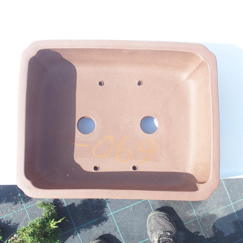 Bonsaischaal 29 x 23 x 8 cm