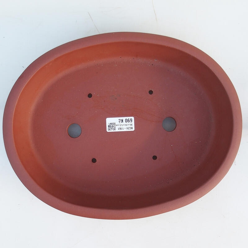 Bonsaischaal 30,5 x 24 x 6 cm, baksteenkleur