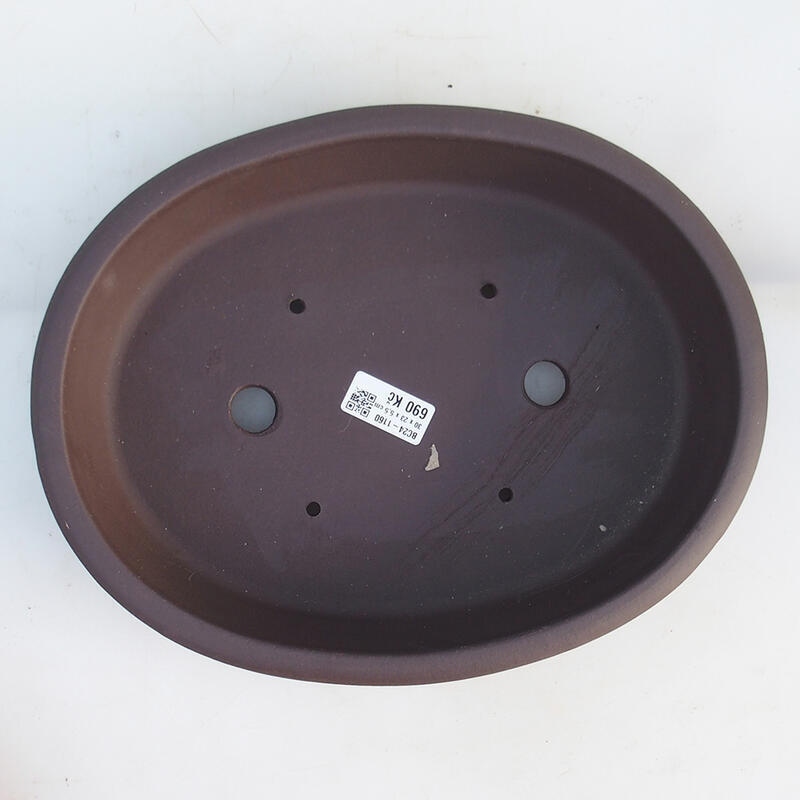 Bonsaischaal 30,5 x 24 x 6 cm, bruin