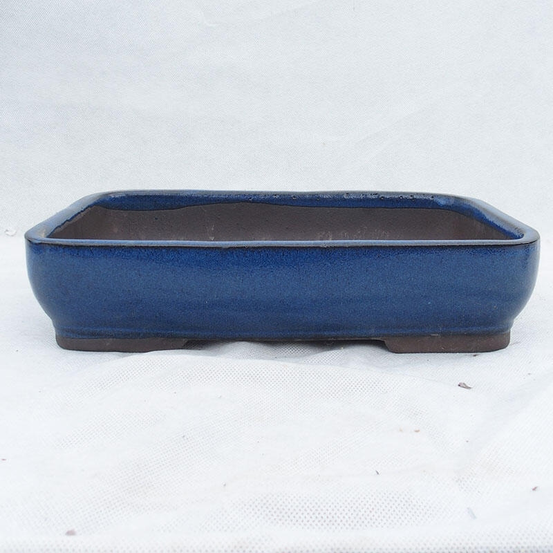Bonsaischaal 30 x 21 x 7 cm, kleur blauw