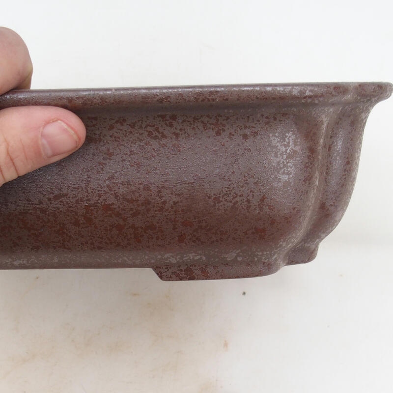 Bonsaischaal 30 x 24,5 x 8 cm, natuurlijke kleur