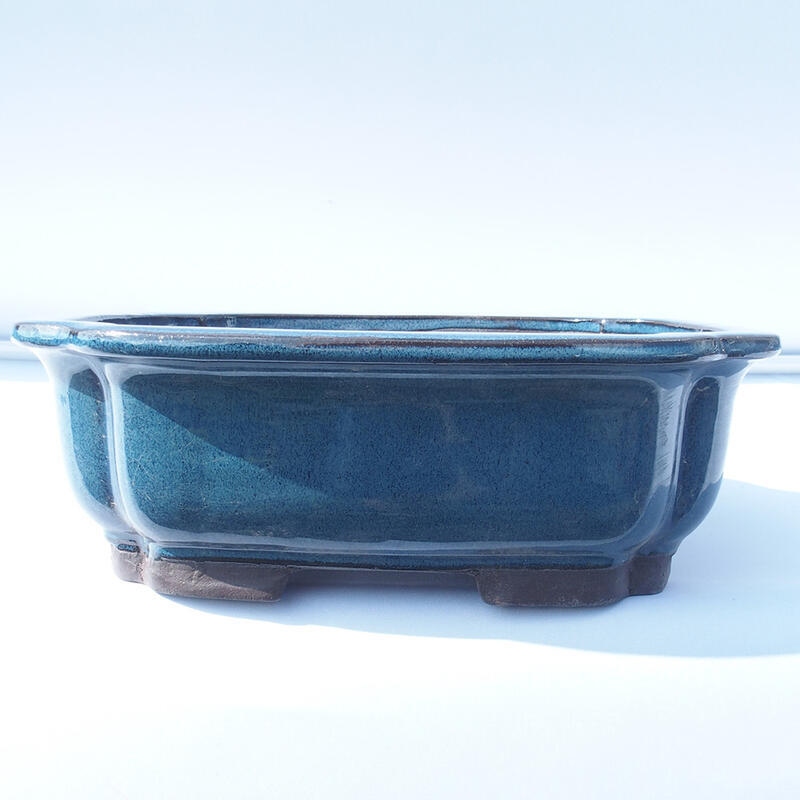 Bonsaischaal 30 x 25 x 10 cm blauw