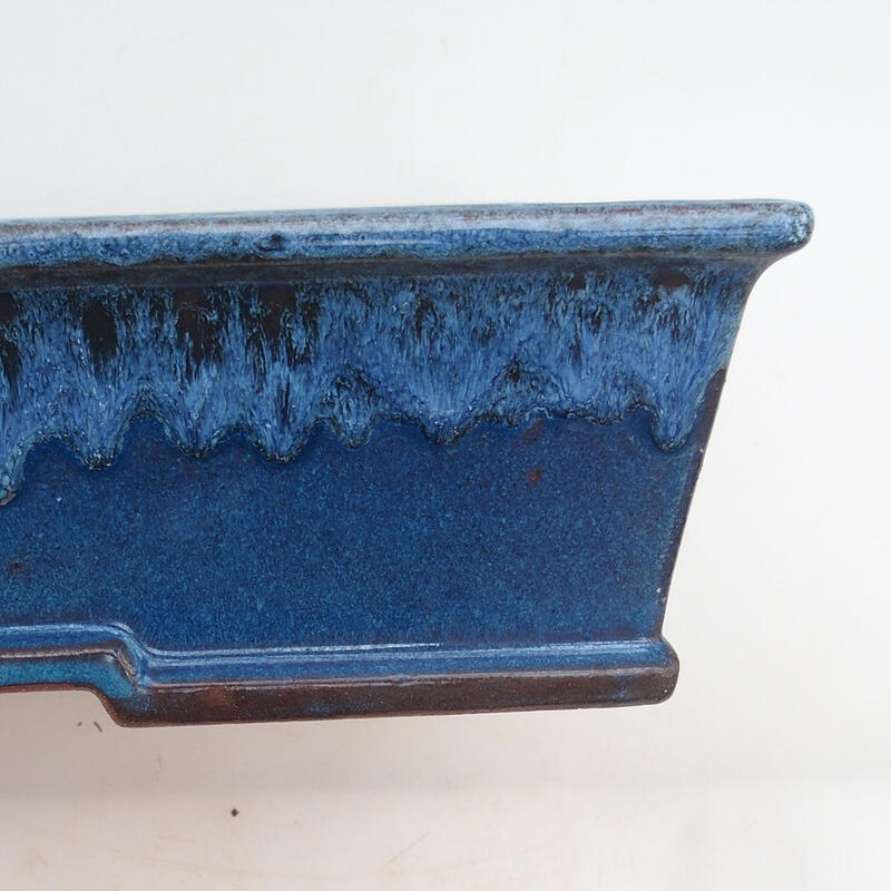 Bonsaischaal 31 x 22 x 8 cm, kleur blauw