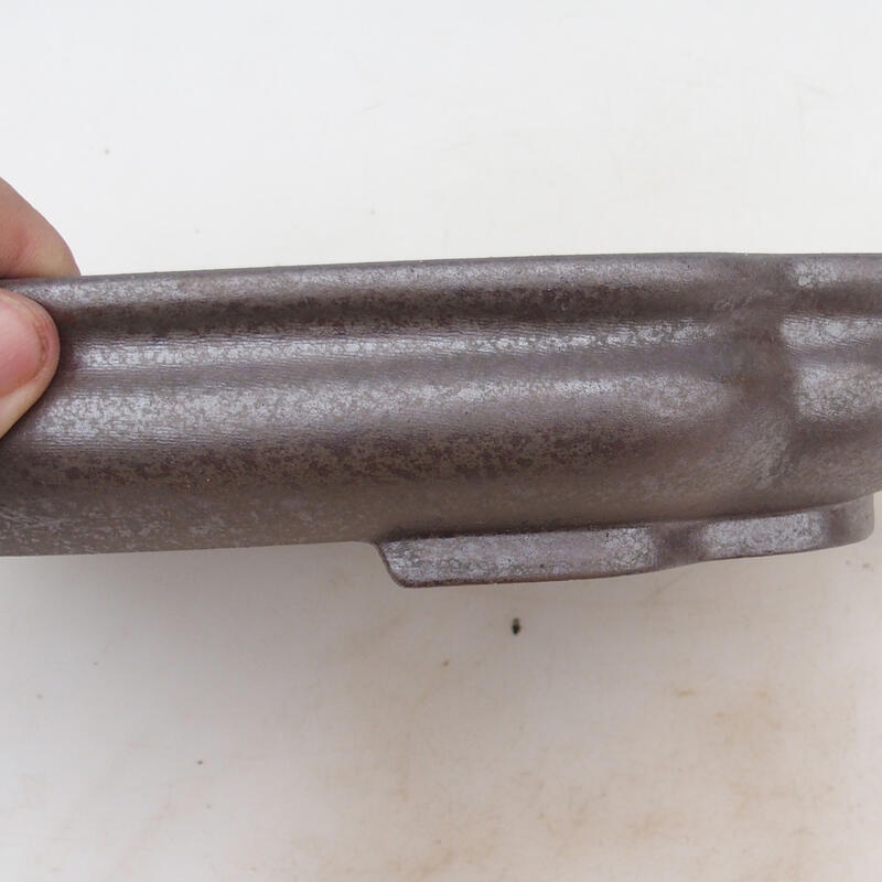 Bonsaischaal 31 x 23 x 5,5 cm, natuurlijke kleur