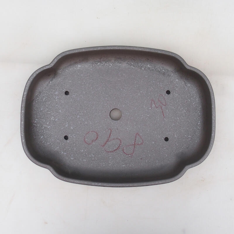 Bonsaischaal 31 x 23 x 5,5 cm, natuurlijke kleur