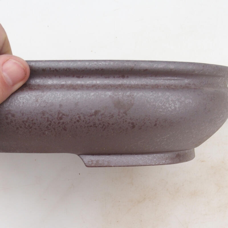 Bonsaischaal 31 x 23 x 6,5 cm, natuurlijke kleur