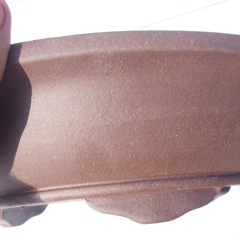 Bonsaischaal 31 x 31 x 8 cm