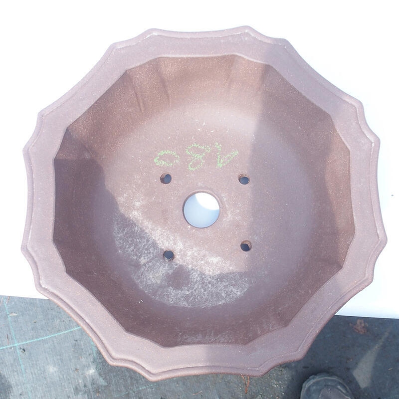 Bonsaischaal 31 x 31 x 9 cm