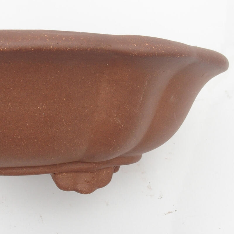 Bonsaischaal 33 x 29 x 11 cm - Japanse kwaliteit