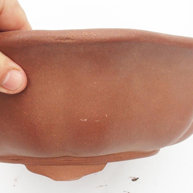 Bonsaischaal 33 x 33 x 10 cm - Japanse kwaliteit