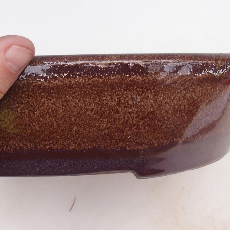 Bonsaischaal 34 x 27 x 7,5 cm, bruin