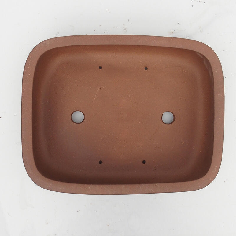 Bonsaischaal 34 x 27 x 9 cm - Japanse kwaliteit