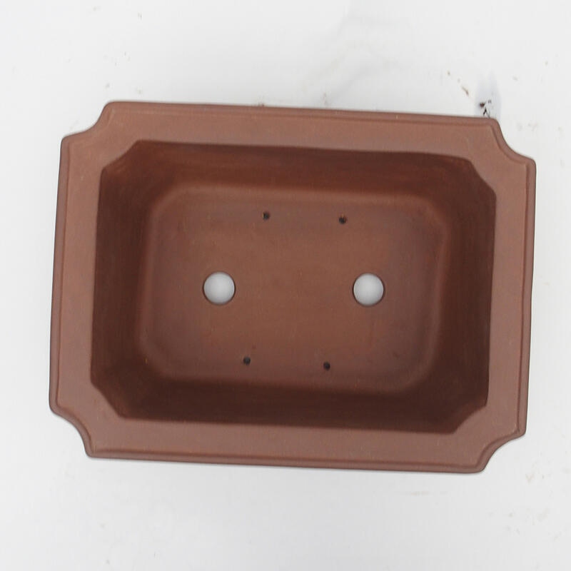 Bonsaischaal 35 x 26 x 12 cm - Japanse kwaliteit